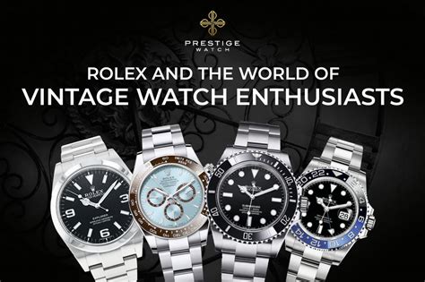 watch cases for rolex|why is Rolex called oyster.